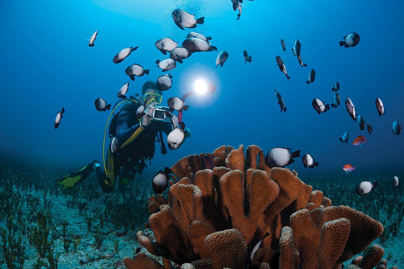 Underwater photography
