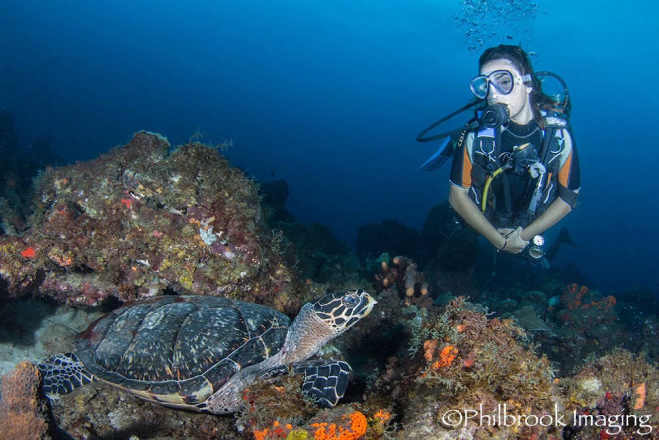 st lucia diving