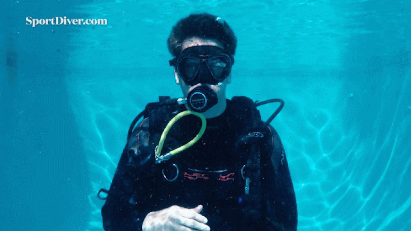scuba diving hand signals stop
