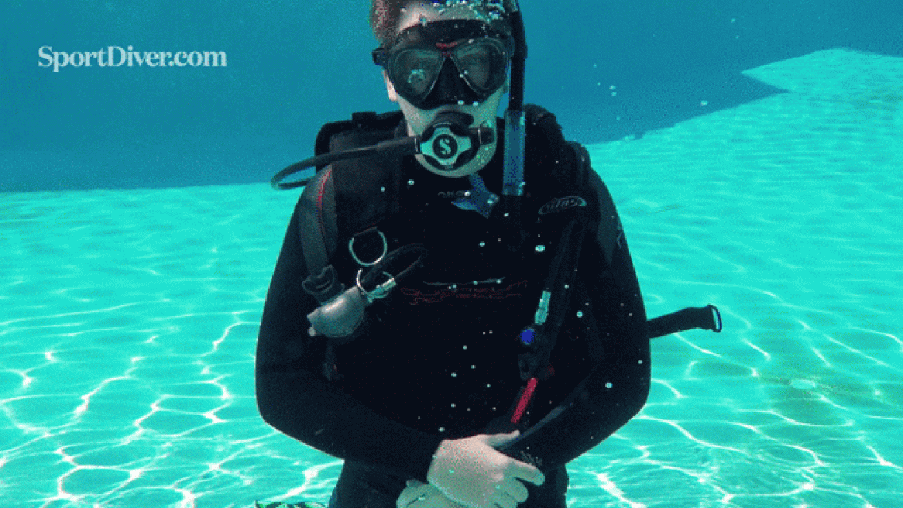 scuba hand signals stung