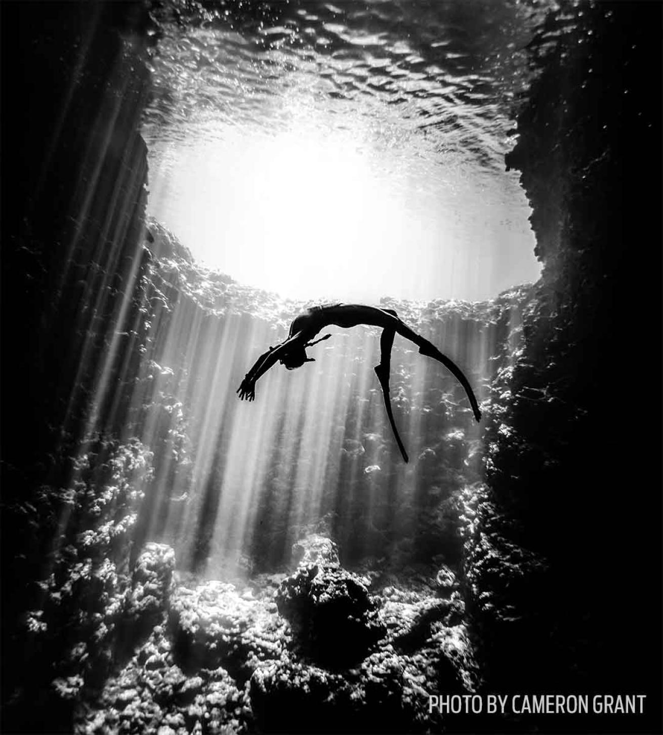freediving tonga photo