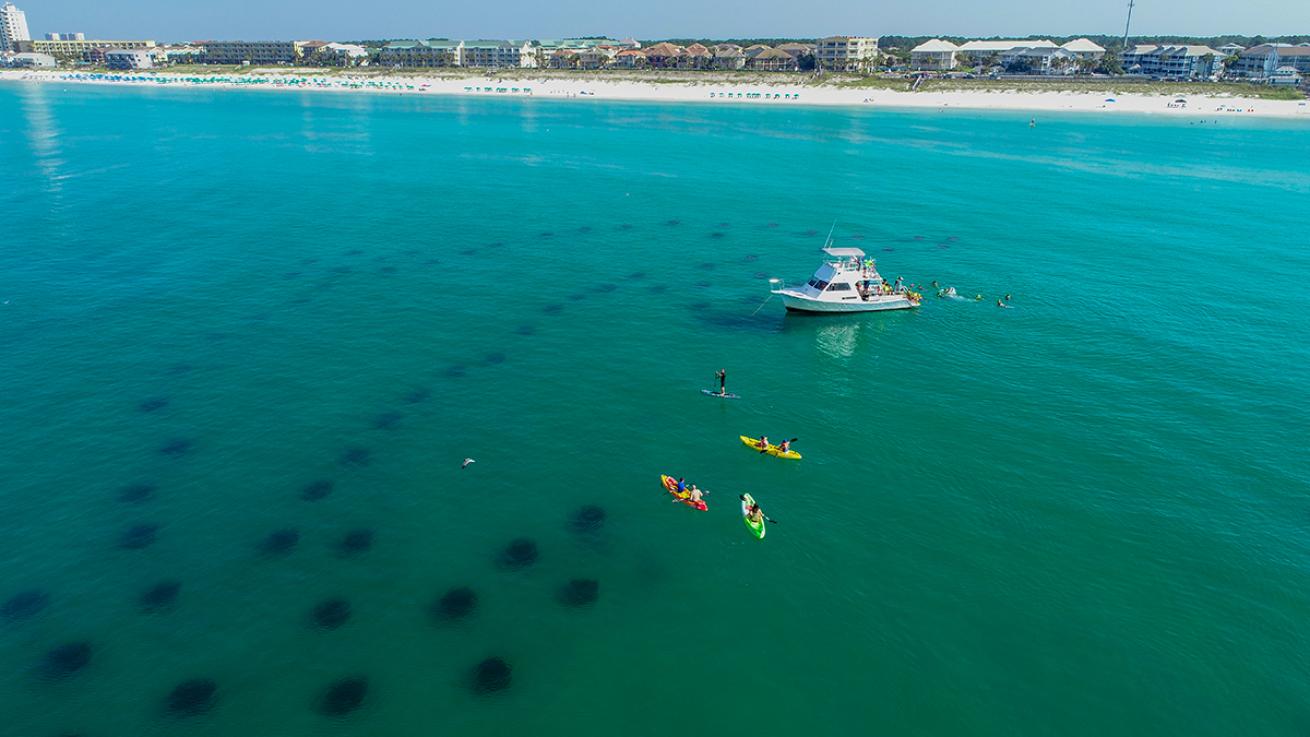 South Walton Artificial Reef Association