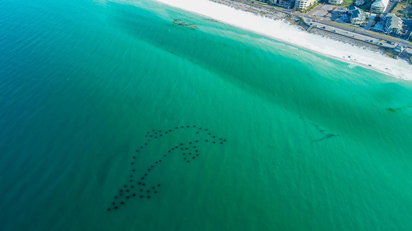 South Walton Artificial Reef Association