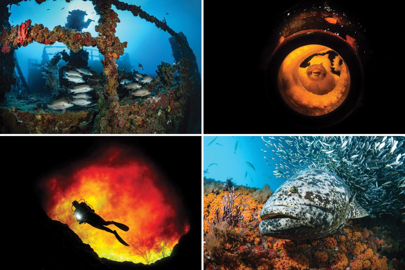 Florida diving