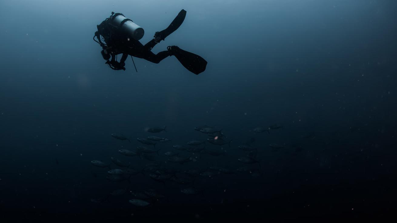 tips for lost diver