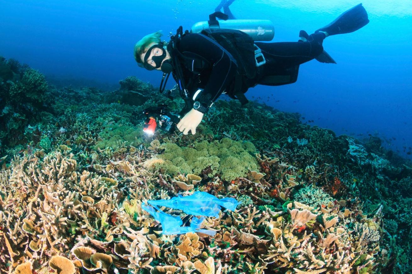 Diver cleaning up trash