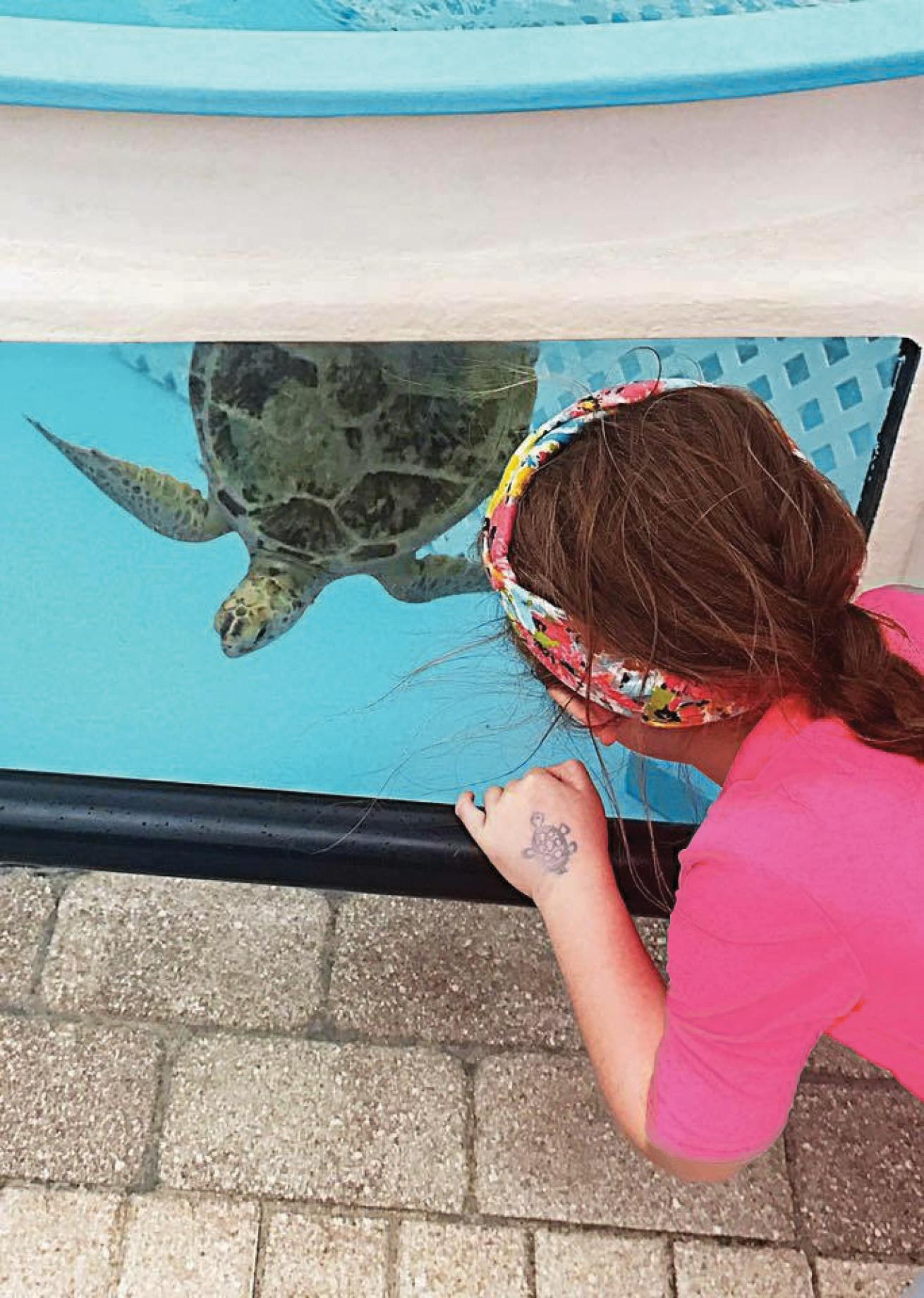 Loggerhead Marinelife Center Florida