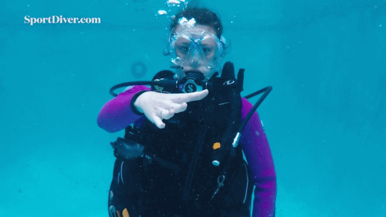 scuba diving hand signals