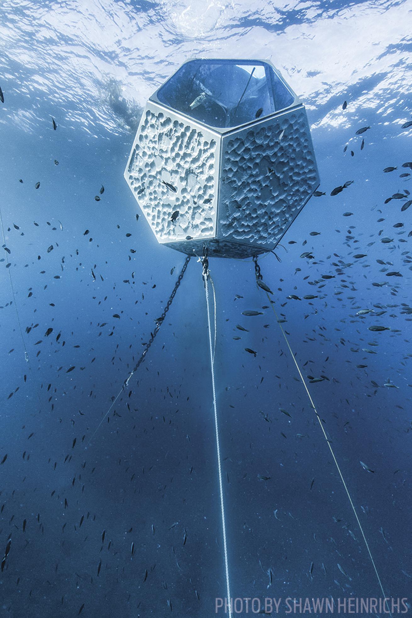 underwater pavilions scuba diving art exhibit