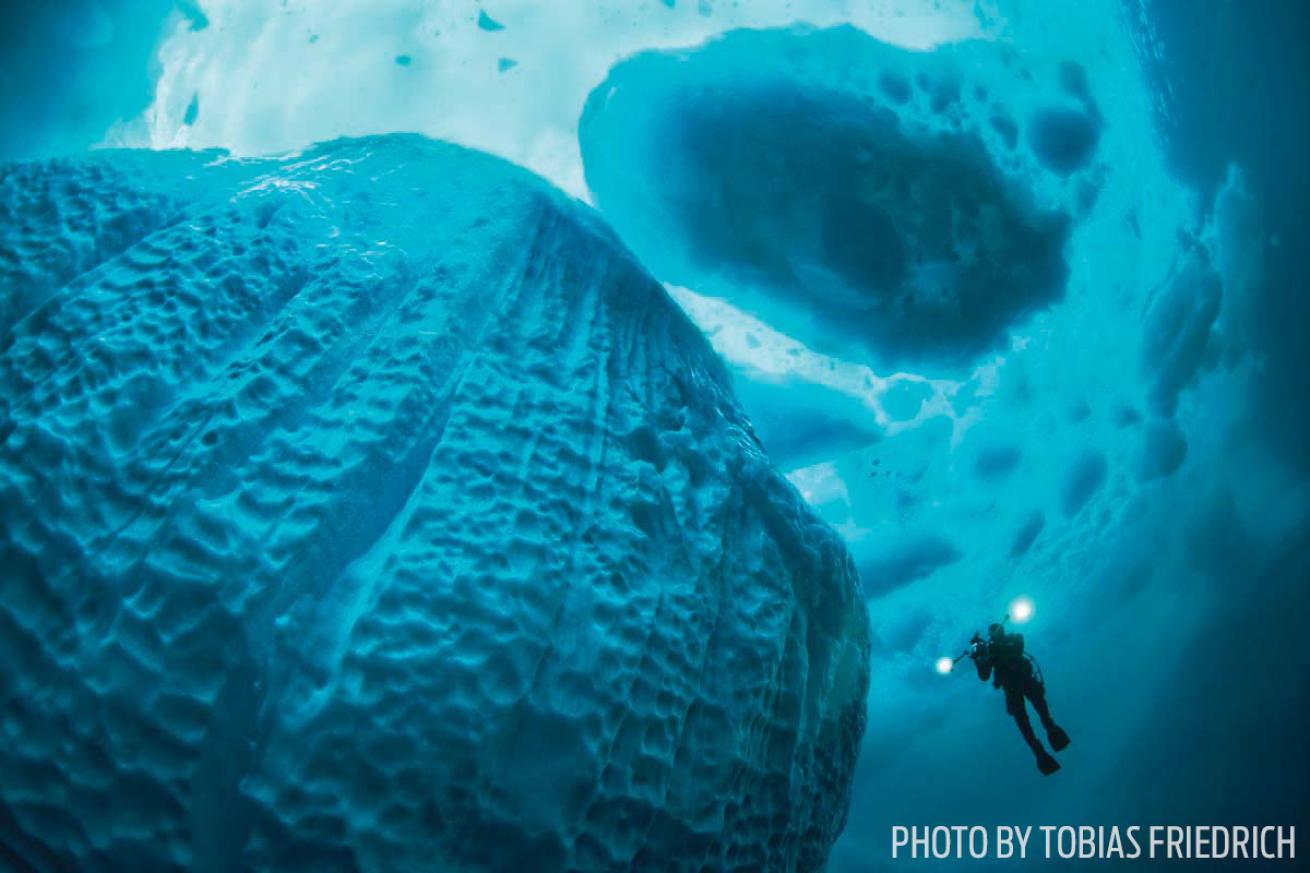 scuba diver icebergs Greenland