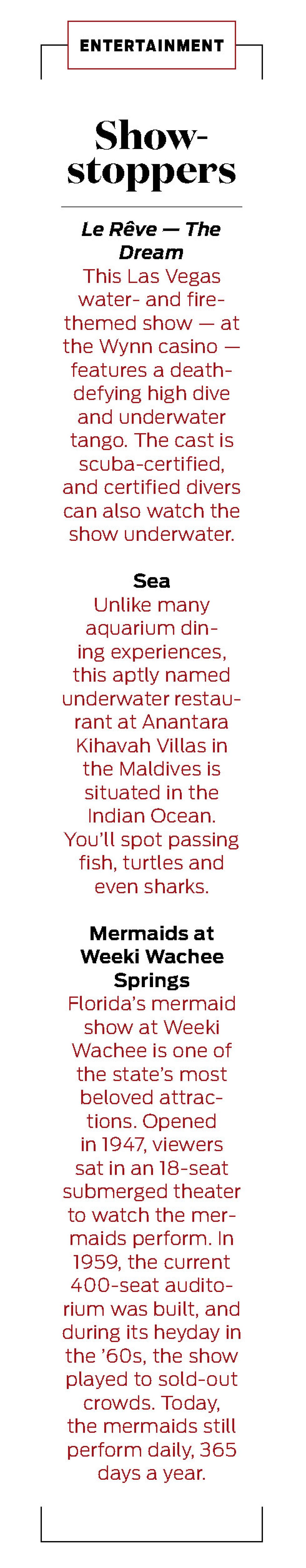 underwater entertainment shows