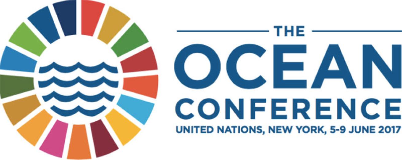 UN logo