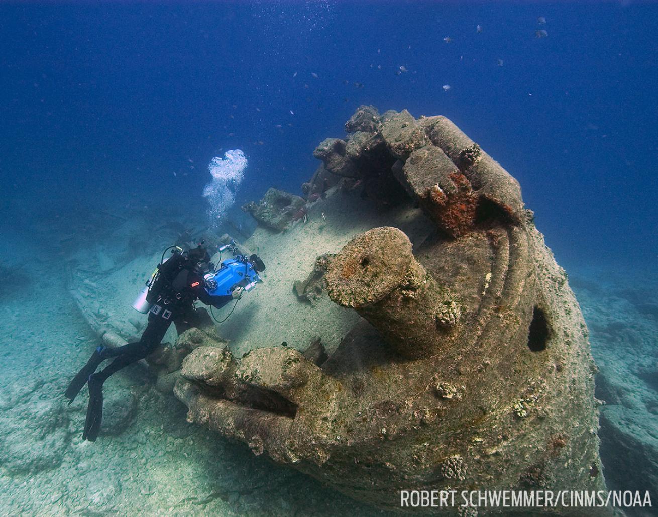 Scuba diver inspects USS Macaw shipwreck in Hawaii