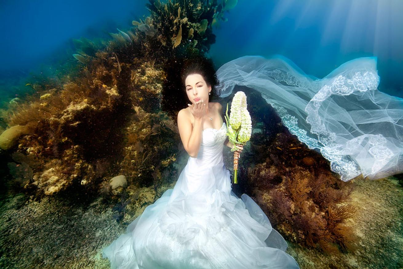 trash the dress underwater photos