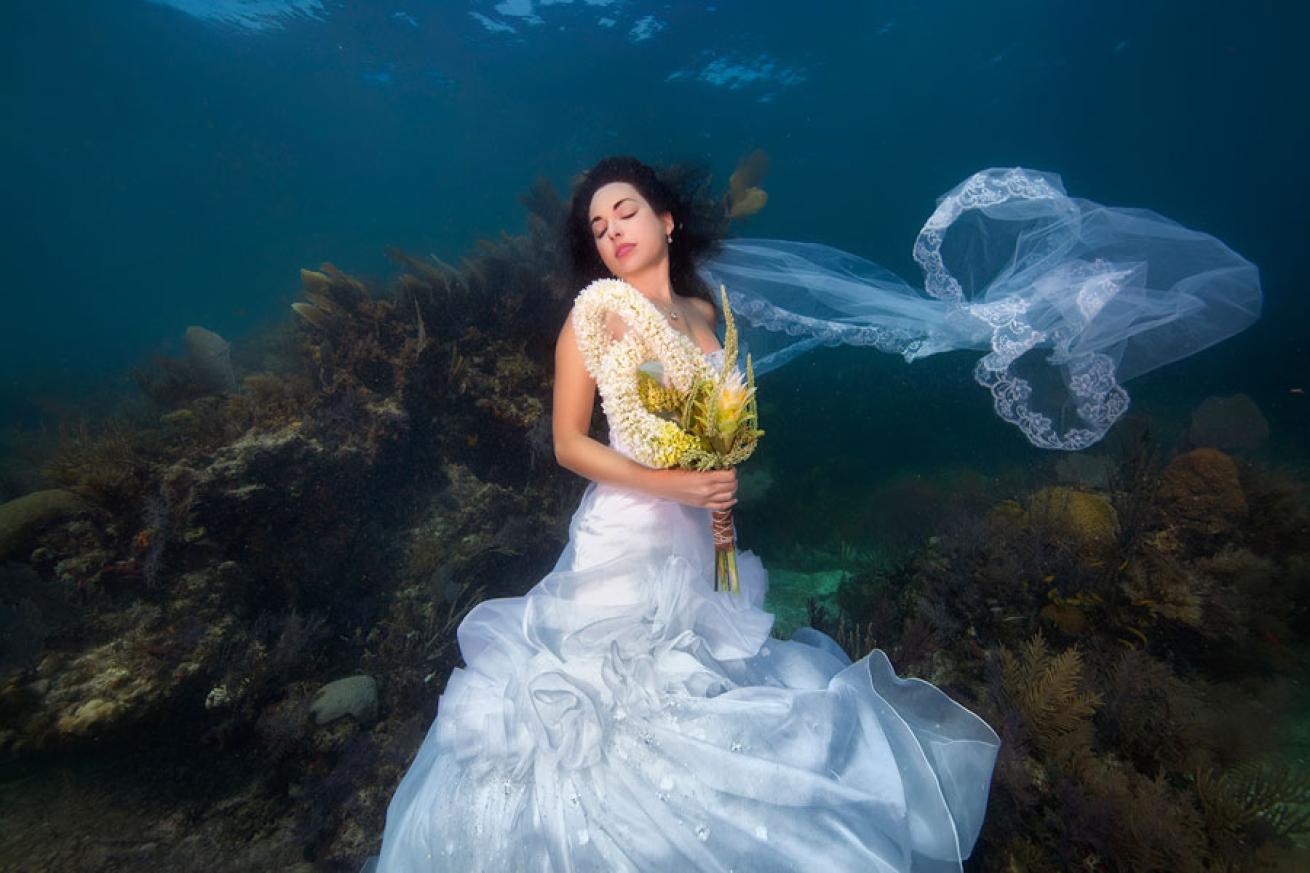 trash the dress underwater photos