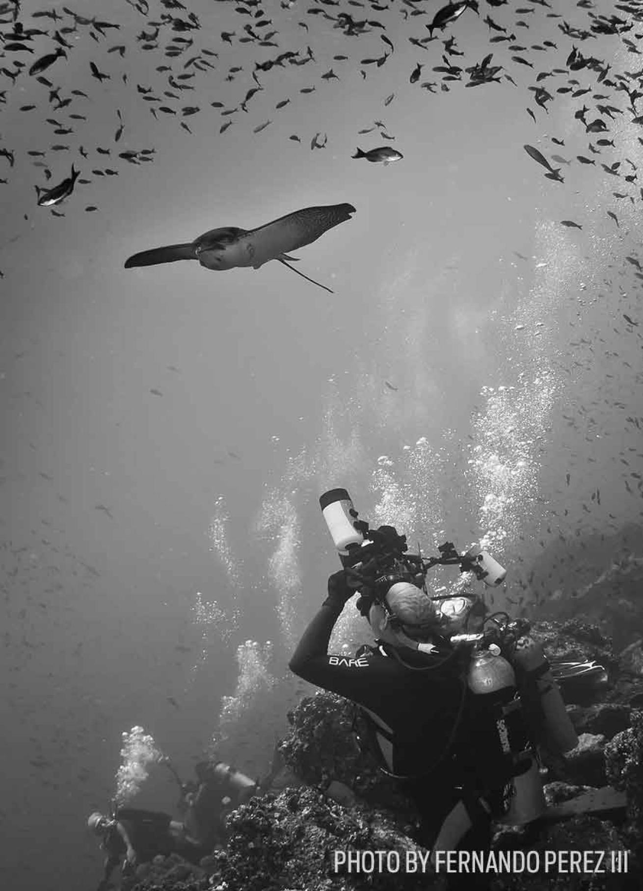 scuba diving galapagos