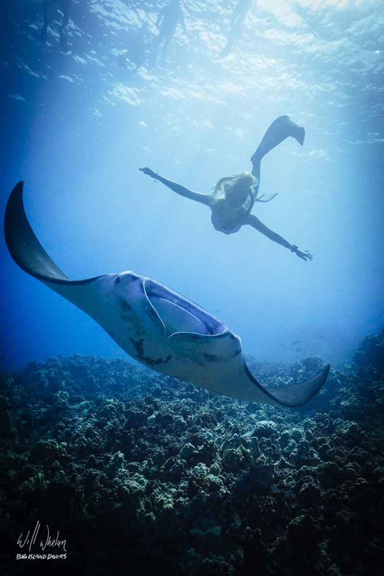 Hawaii underwater photo workshop