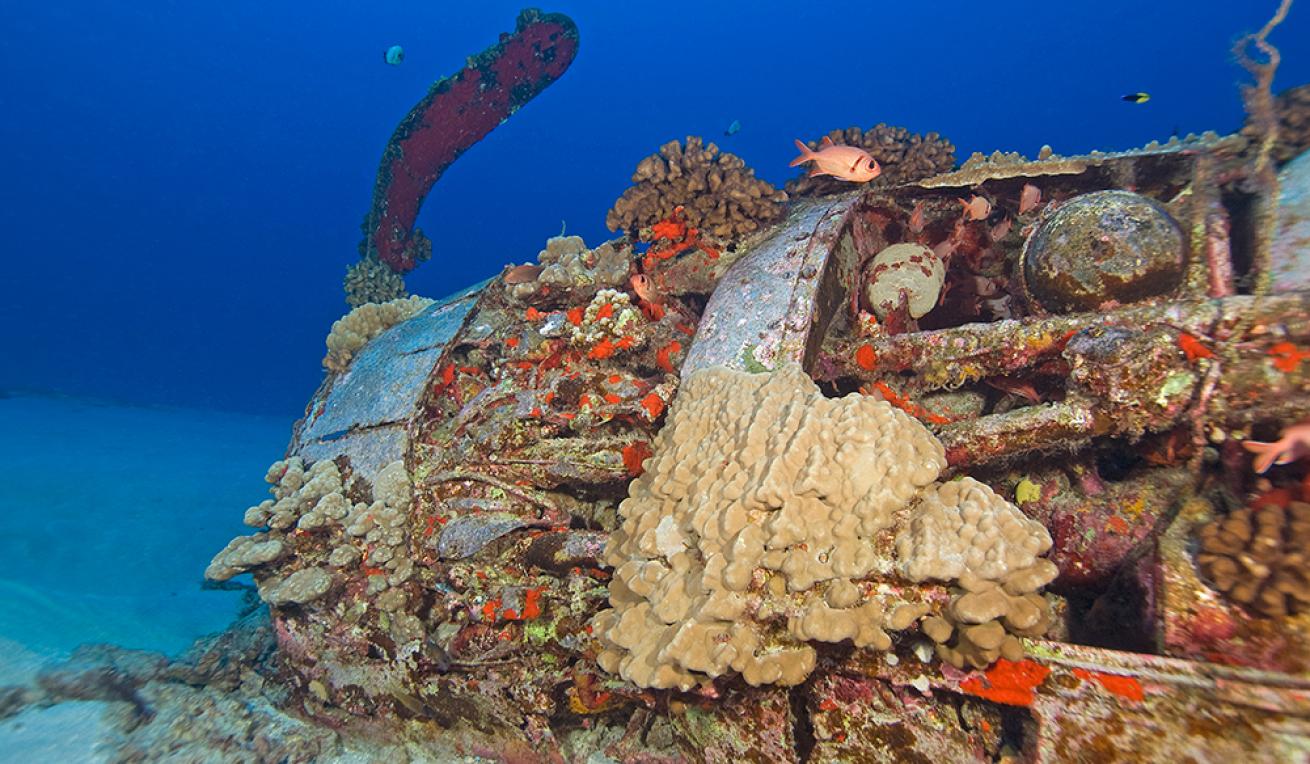 wreck dives hawaii
