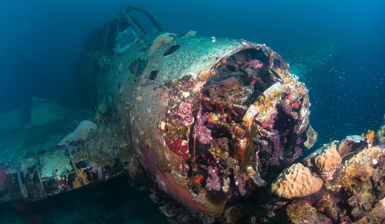 palau wreck dive