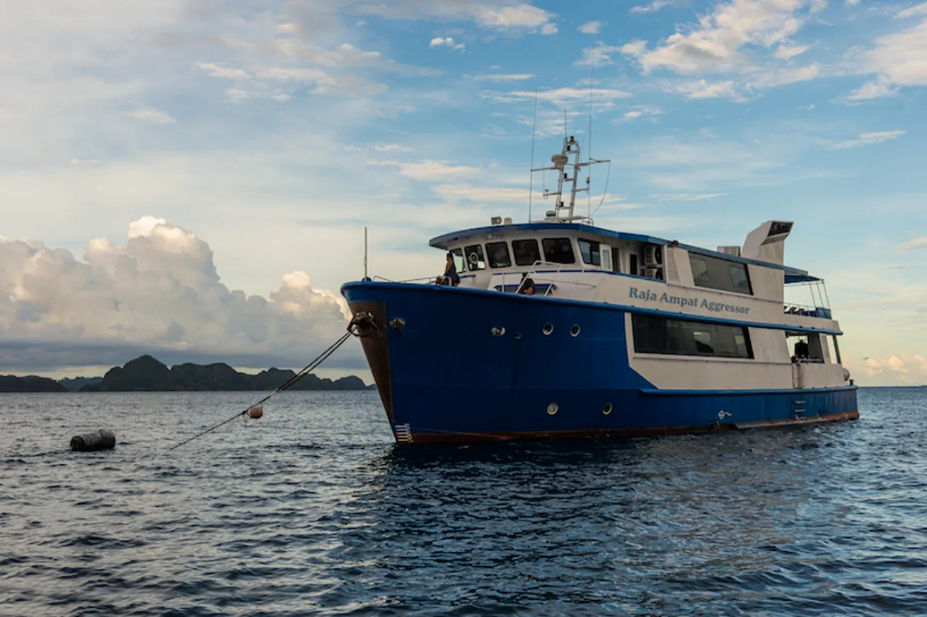 RAJA AMPAT AGGRESSOR