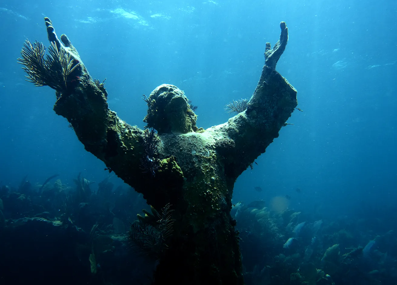 Dive with Olympus: A beginning shooter tries the TG-4 and the E-M5