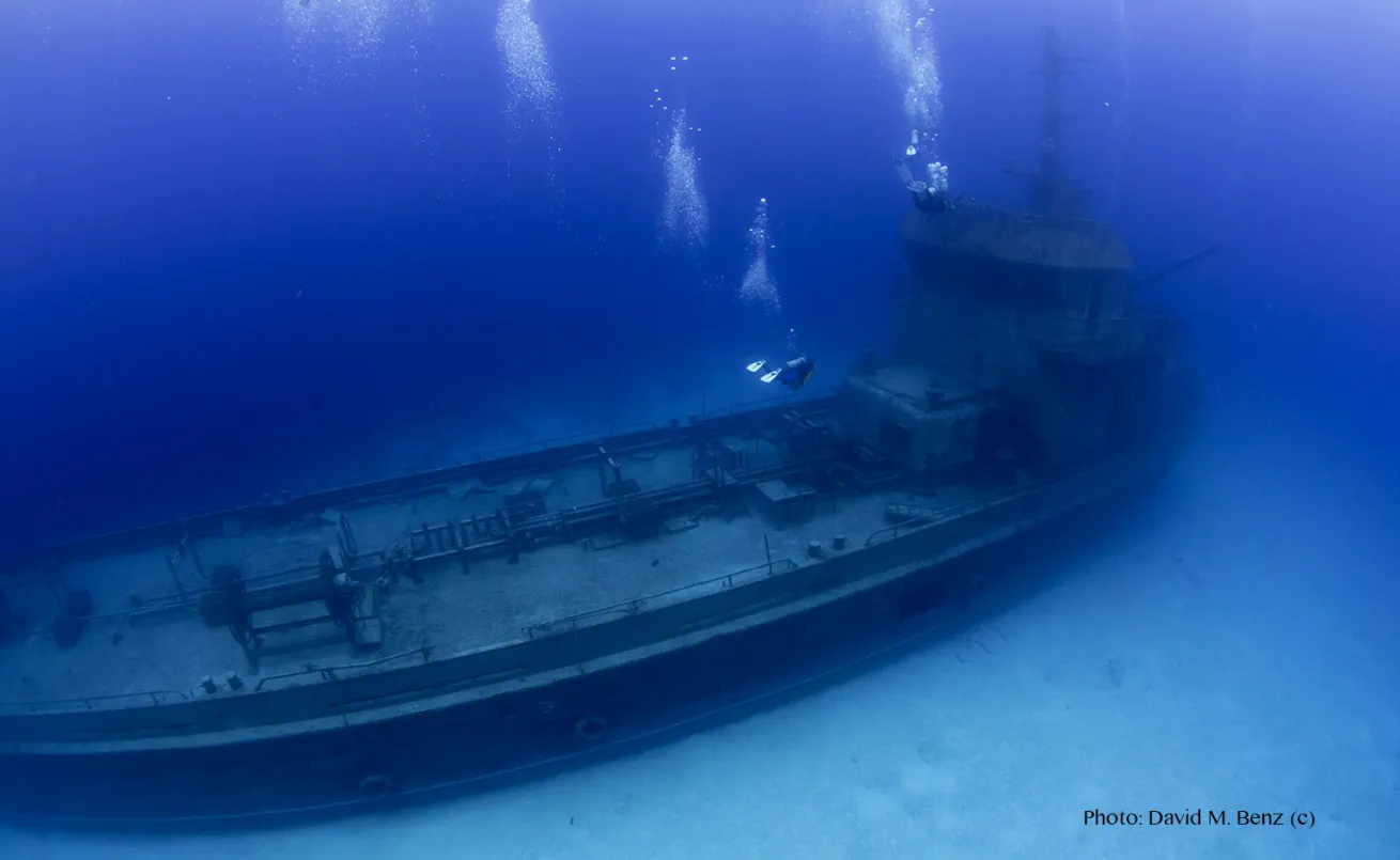 Sea Trader wreck