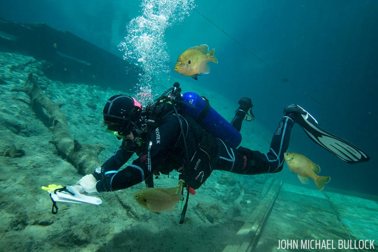 ScubaLab dive computer test diver and freshwater fish.
