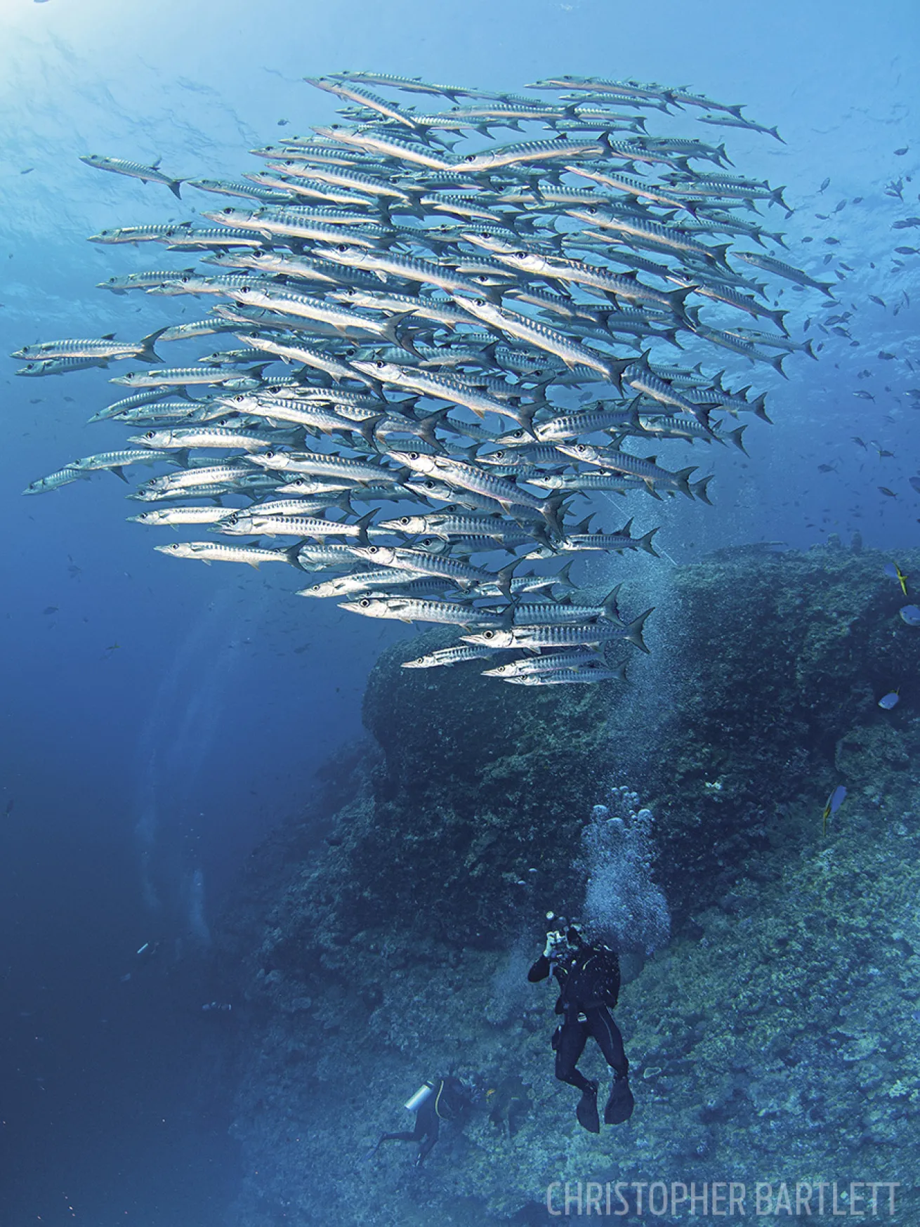 scuba diving Papua New Guinea