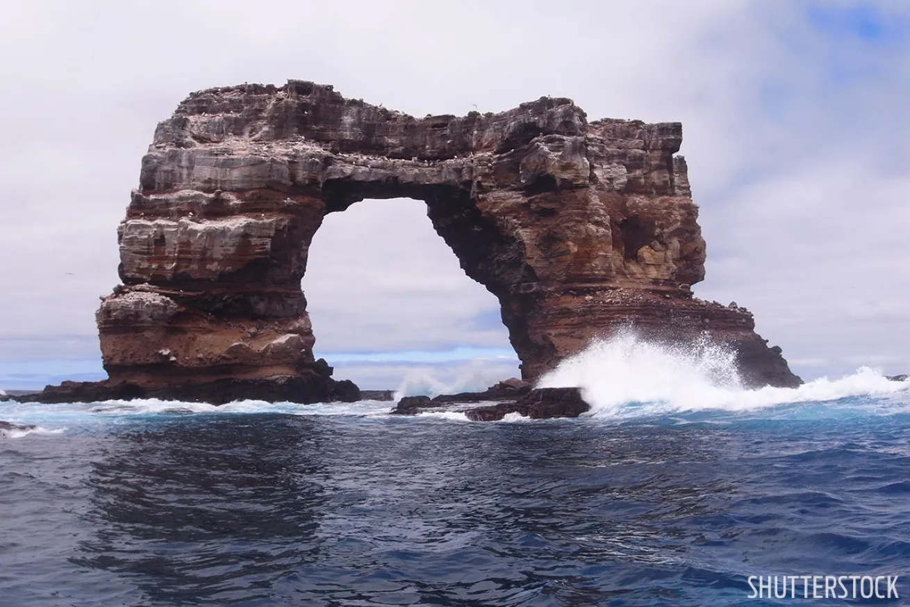 Galapagos Dive Site 