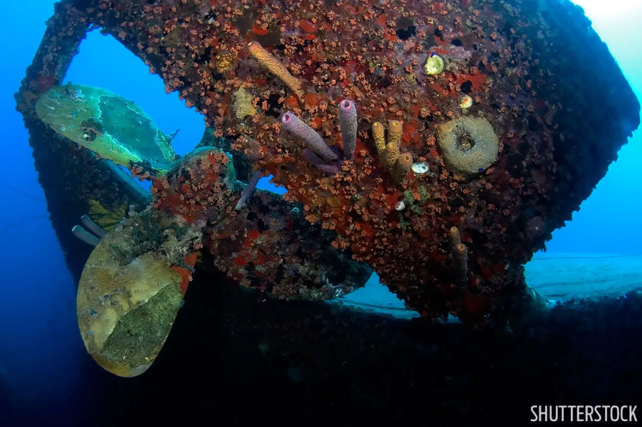 best scuba diving awards