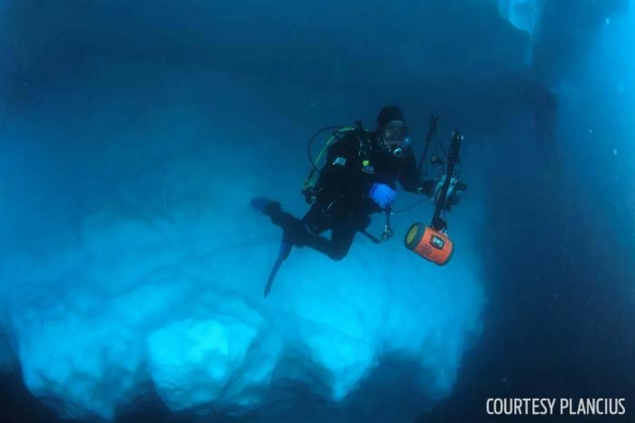Arctic scuba diving icebergs liveaboard Plancius 