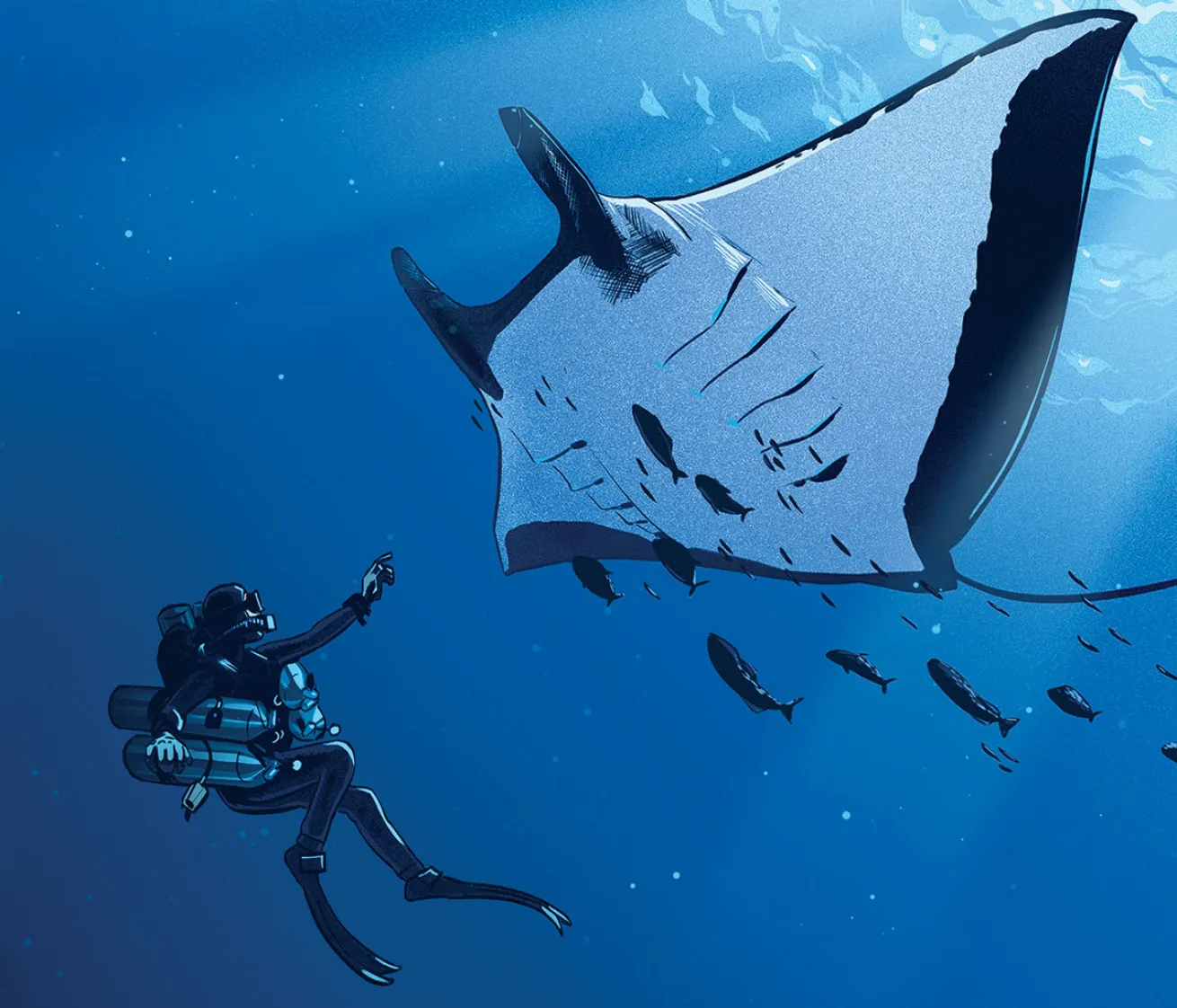 giant manta