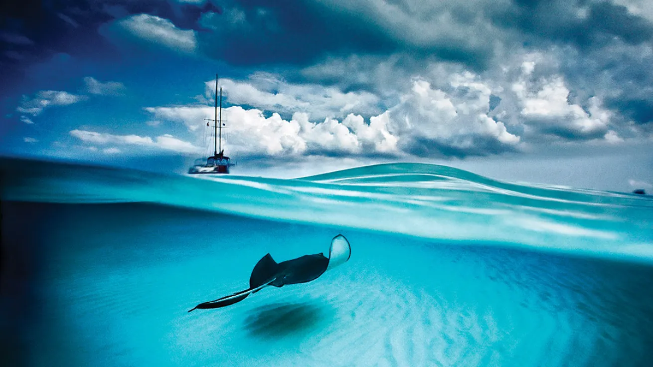 David Doubilet/National Geographic Creative