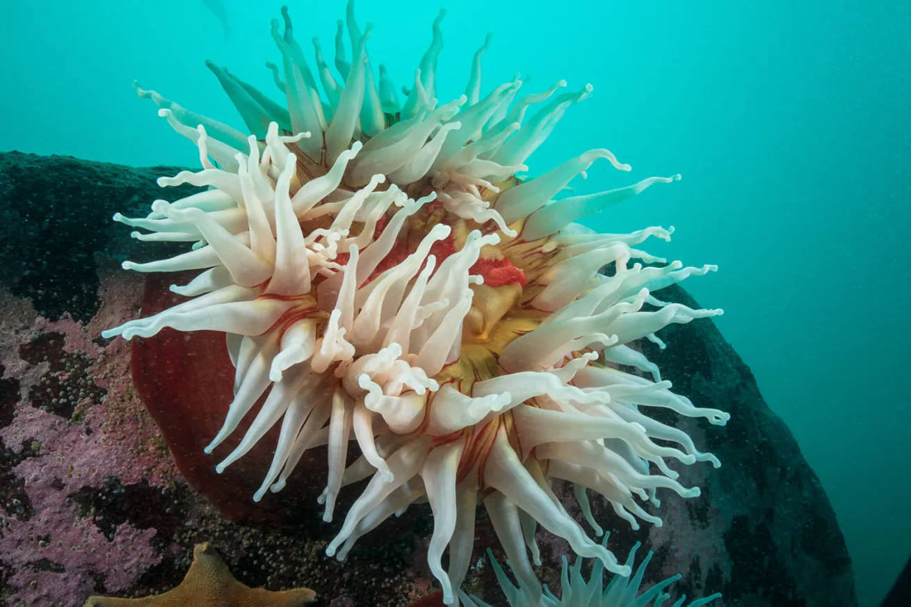 underwater creative lighting
