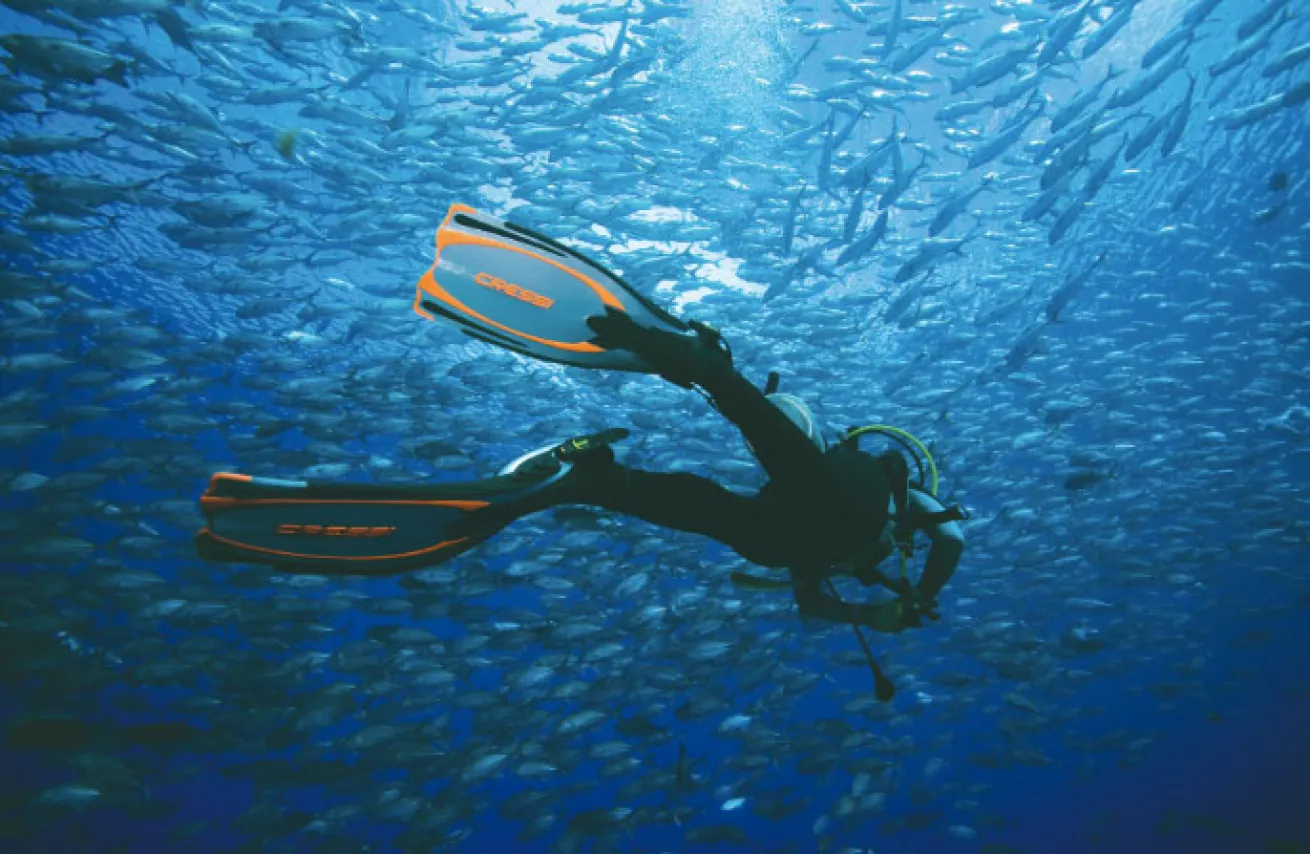 scuba kicking techniques