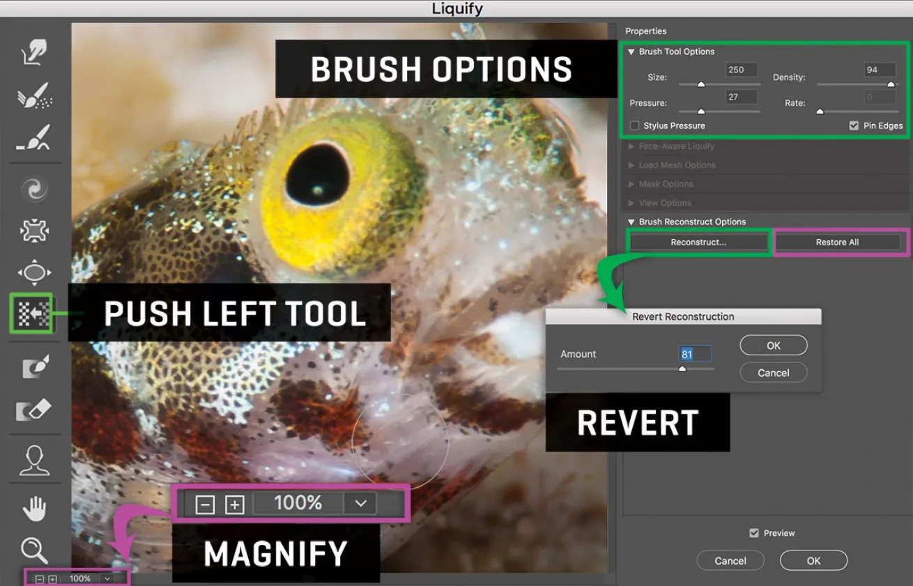 liquify panel
