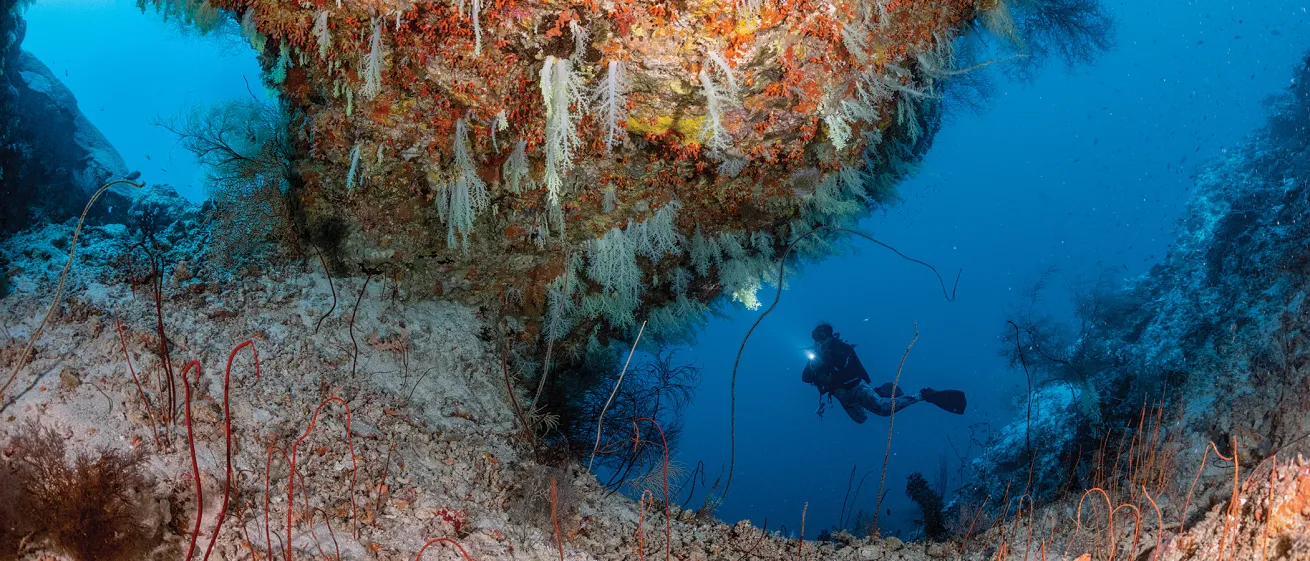 maldives liveaboard