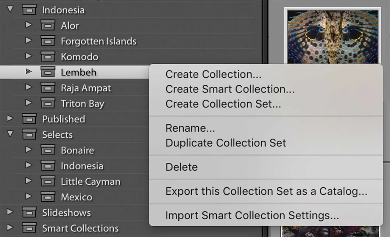 lightroom collection creation