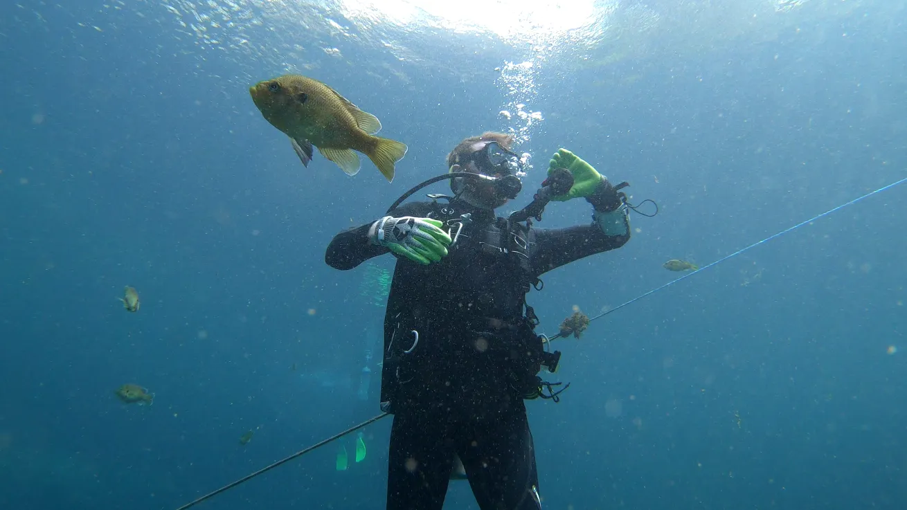 Diver at Blue Grotto Springs