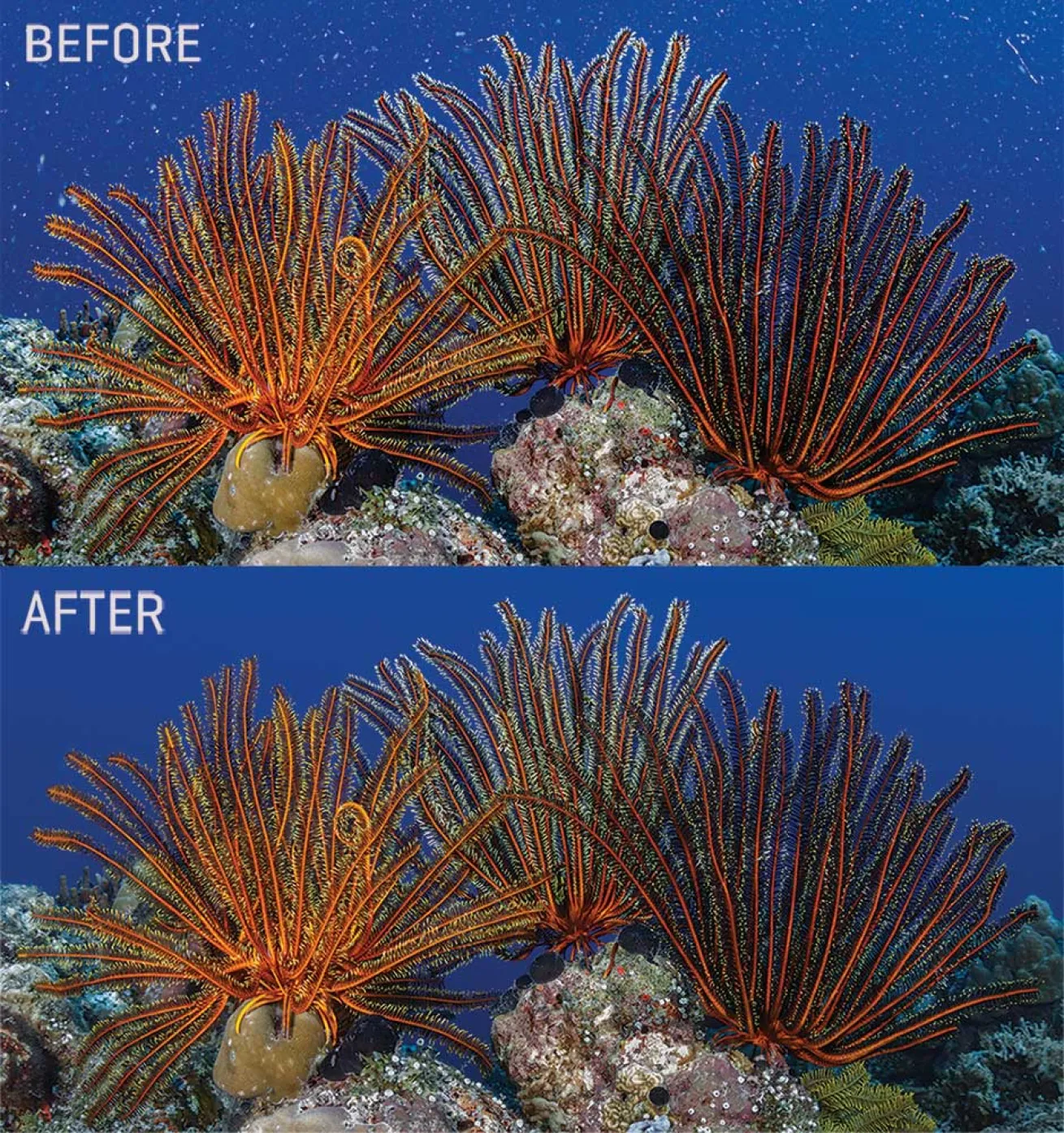 photoshop hacks