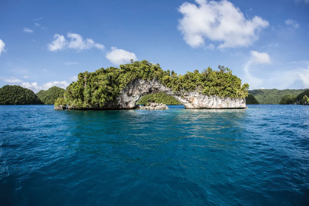 Readers Choice Best Dive Operators 2020