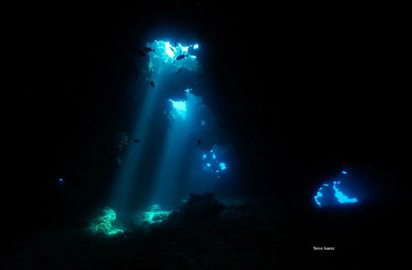 Dive Maui