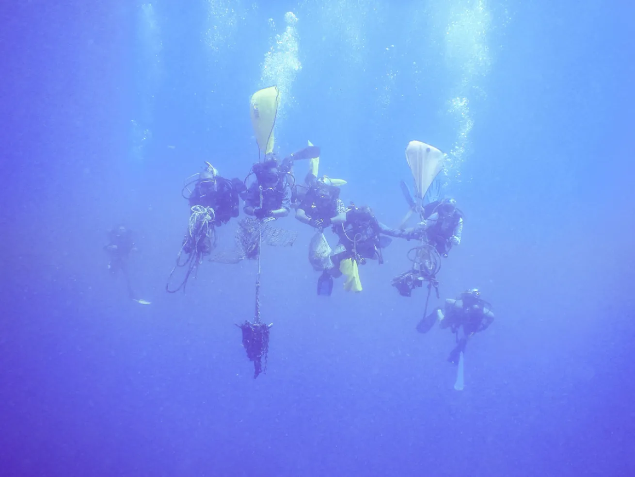 Scuba Divers Collect 519 Pounds of Trash