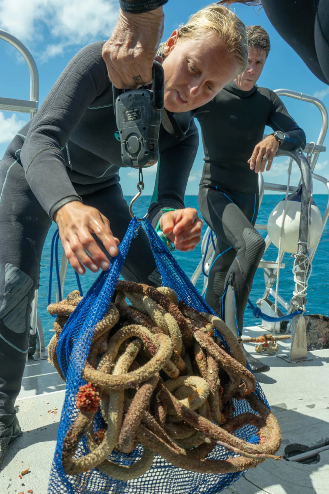 Key Dives Sort Marine Debris