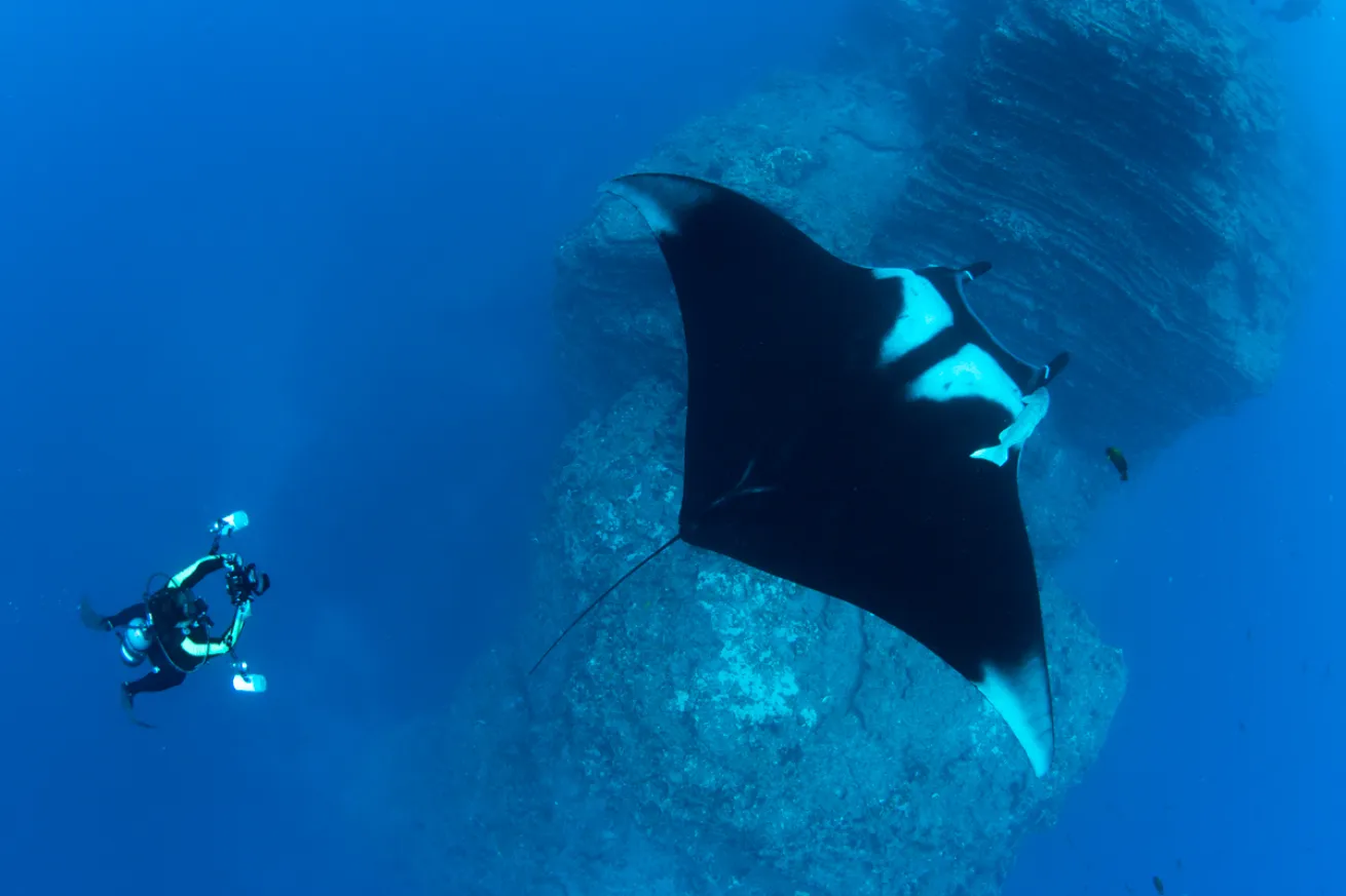 Manta Mexico’s Revillagigedo Islands