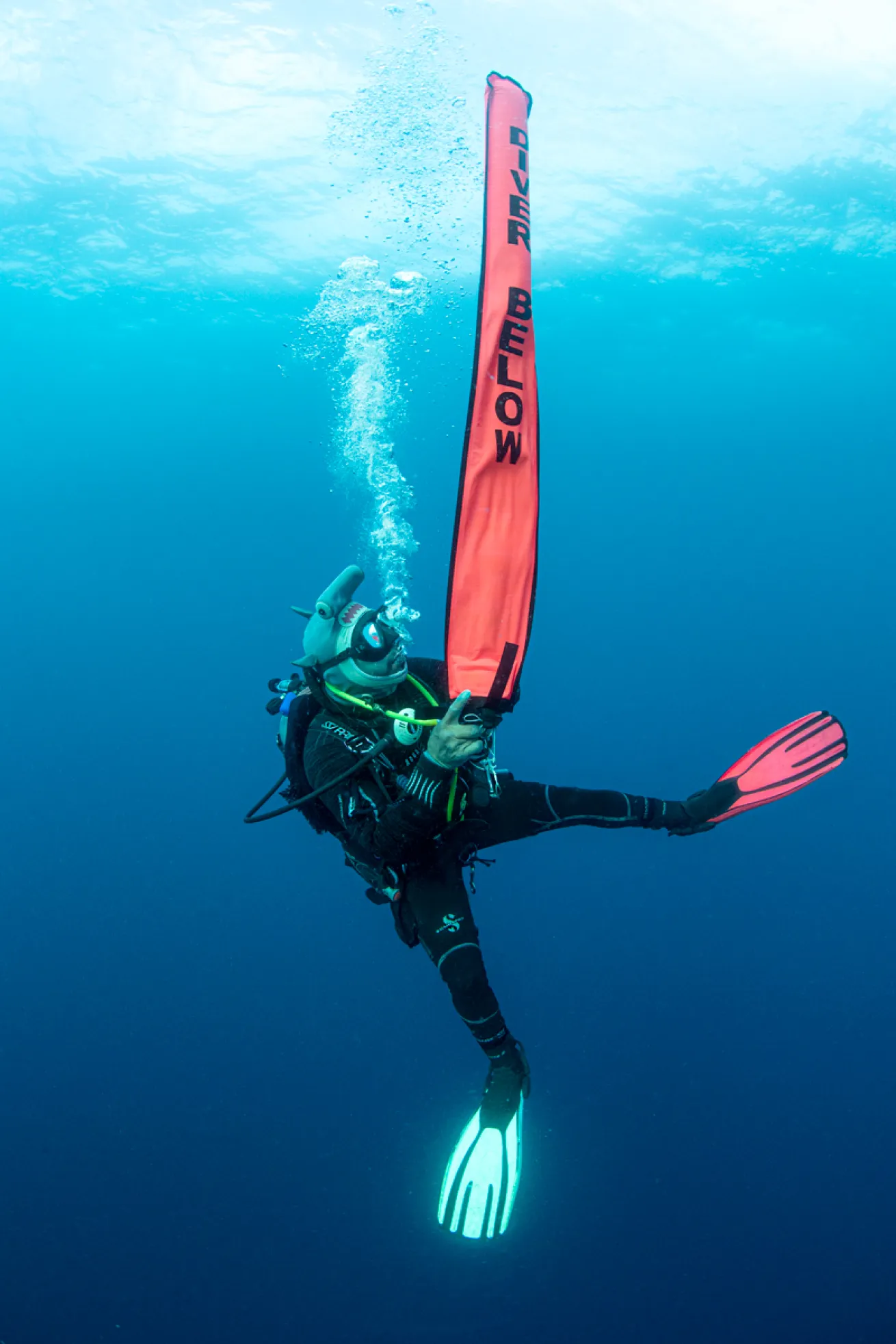 annie-crawley-dsmb.scubadivingmagazine.november2021