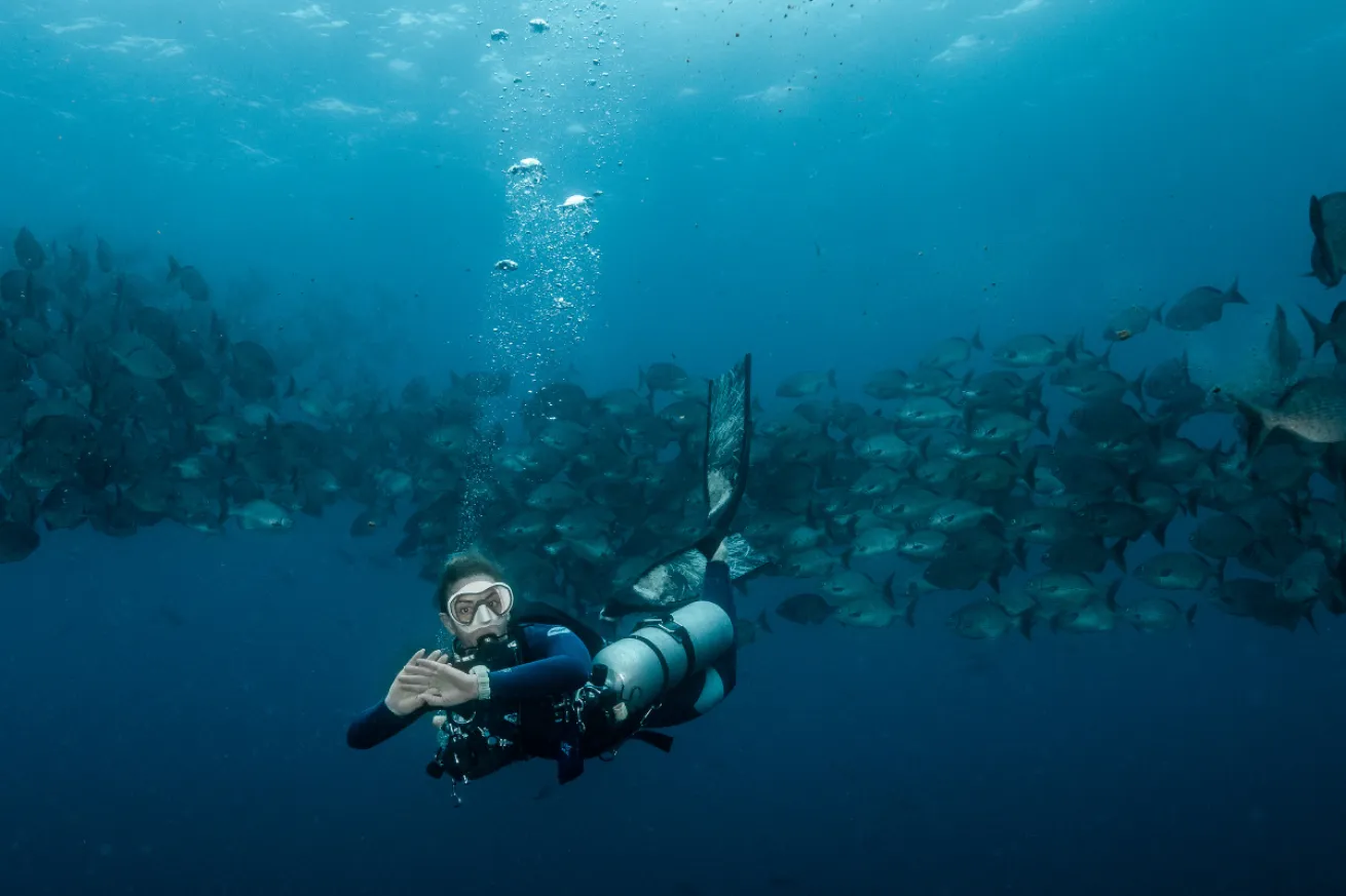 A person in scuba gear underwater