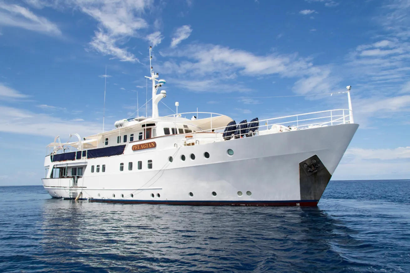 A large white ship in the water