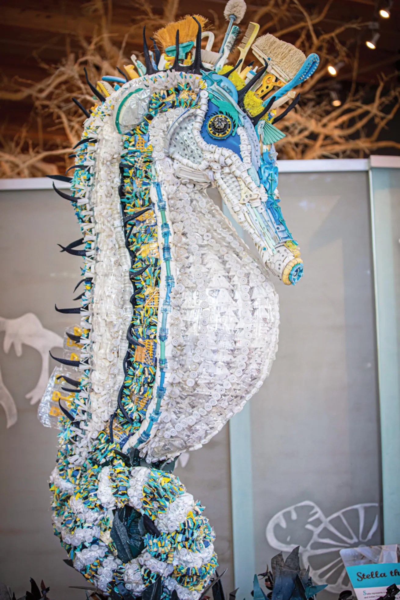 turtle-bay-exhibit.WashedAshoreProject