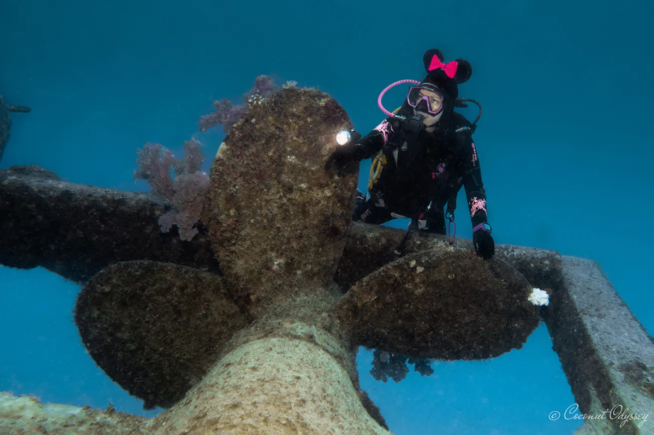 Diver by propeller